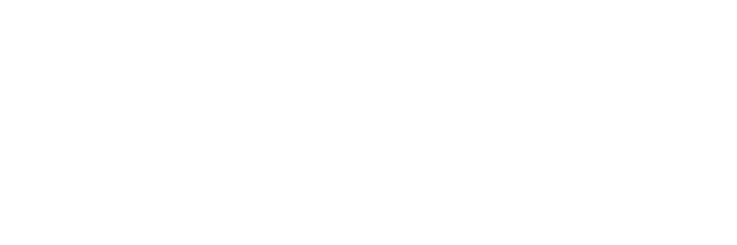 Apps Factory LLC